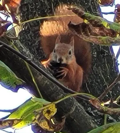 Gárdonyi Ház Сasa de vacaciones *