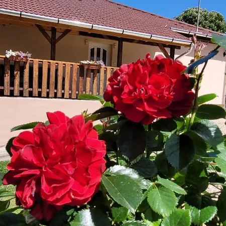 Gárdonyi Ház Сasa de vacaciones Saly