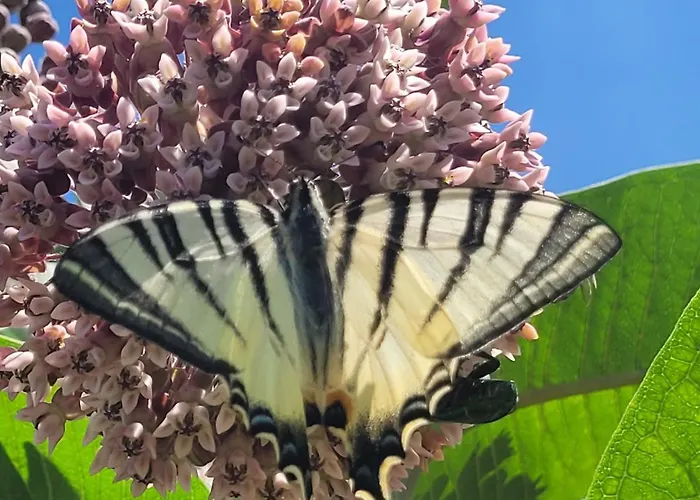 펜션 Gardonyi Haz Saly