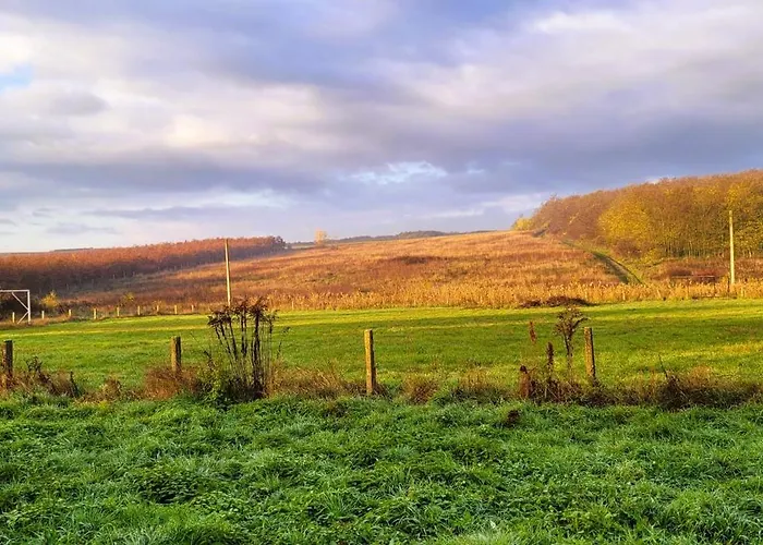 펜션 Gardonyi Haz *