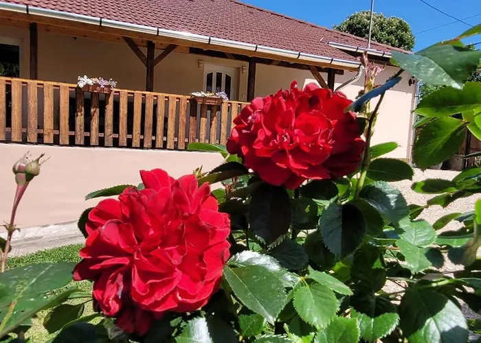 Gardonyi Haz 펜션 Saly